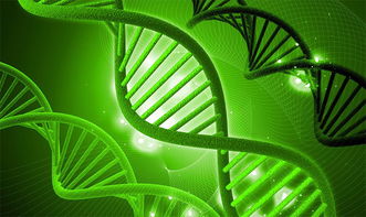 湘西州政協(xié)建言獻(xiàn)策，助力生物科技產(chǎn)業(yè)創(chuàng)新發(fā)展